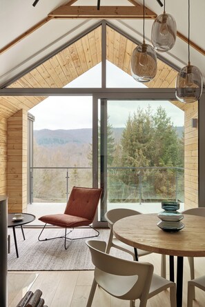 Premium Apartment, 1 Bedroom, Fireplace, Mountain View | Living room | 65-inch flat-screen TV with digital channels, TV, fireplace