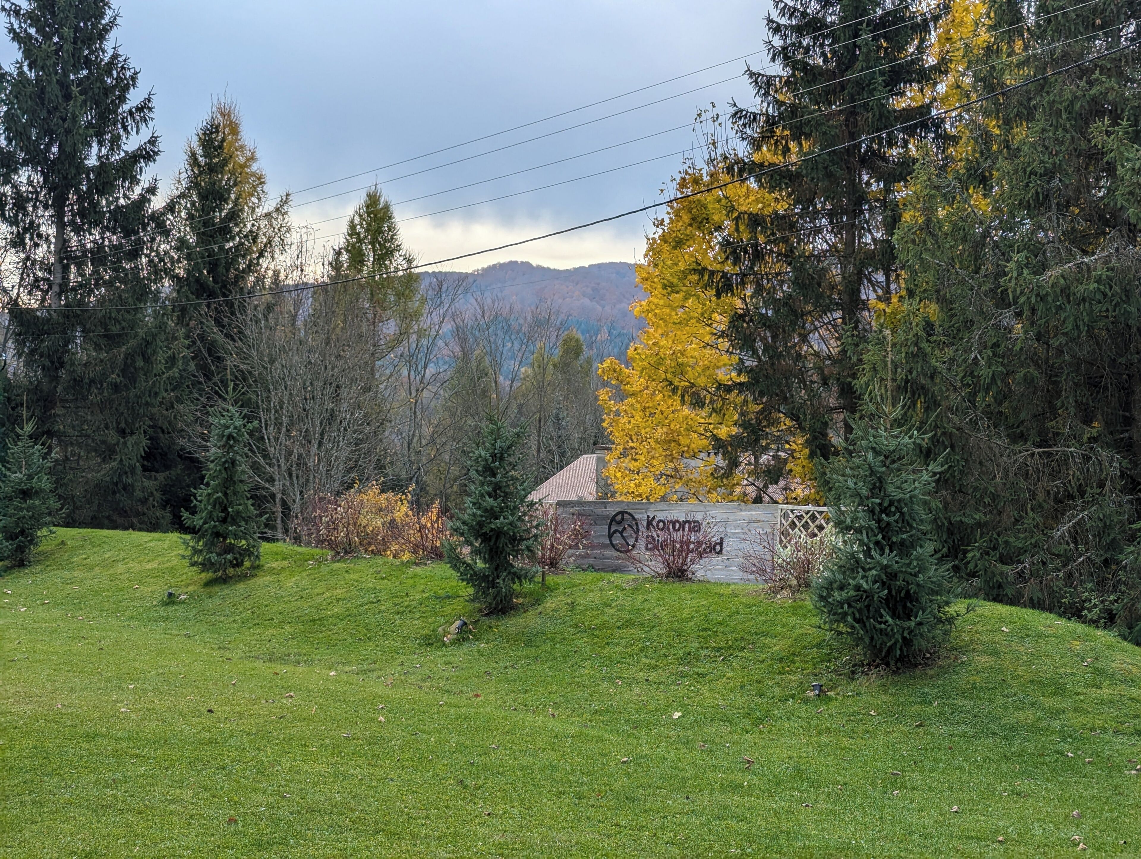 A grassy area with a sign for Corona Bio.