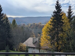 View from room - Korona Bieszczad Premium Apartments (Cisna)