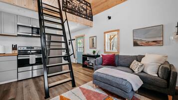 Smart TV, chimenea y libros