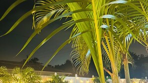 A swimming pool with palm trees and lounge chairs, surrounded by a brick patio. - Tropical Vacation POOL Home in Melbourne, 7 mins to Beach (Melbourne)