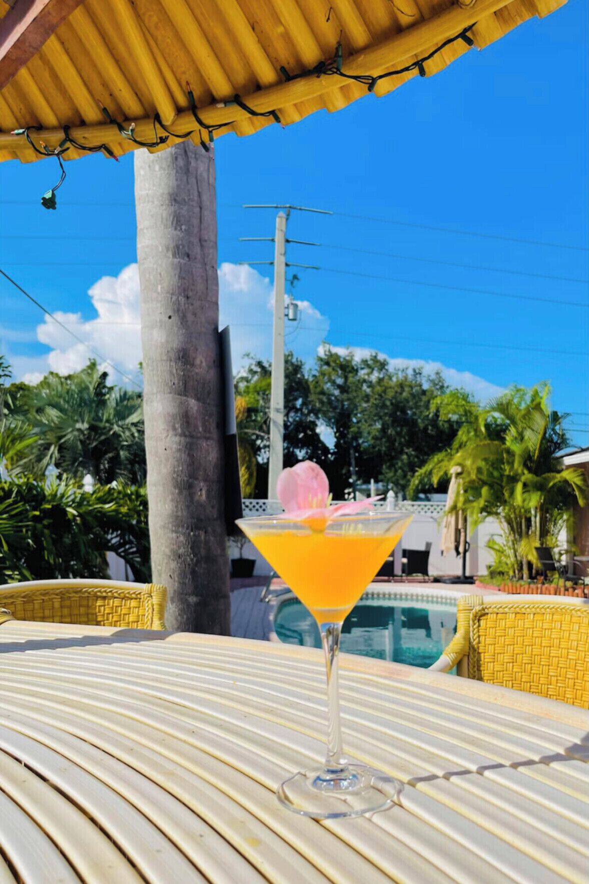 Un cocktail sur une table, avec une vue dégagée sur une piscine et des palmiers en arrière-plan.