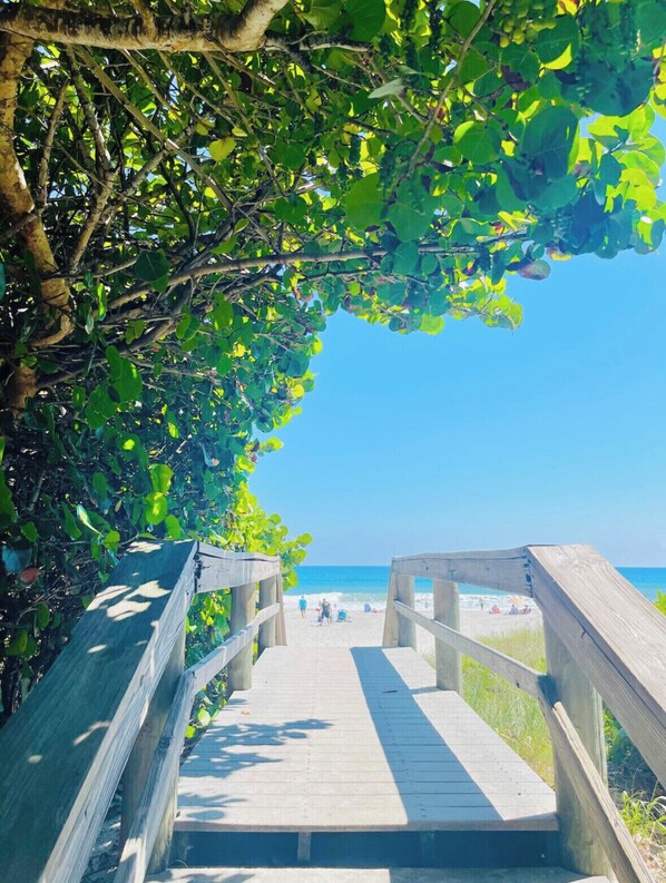 Beach nearby, sun loungers, beach towels - Tropical Vacation POOL Home in Melbourne, 7 mins to Beach (Melbourne)