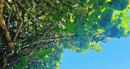 Tropical Vacation POOL Home in Melbourne, 7 mins to Beach