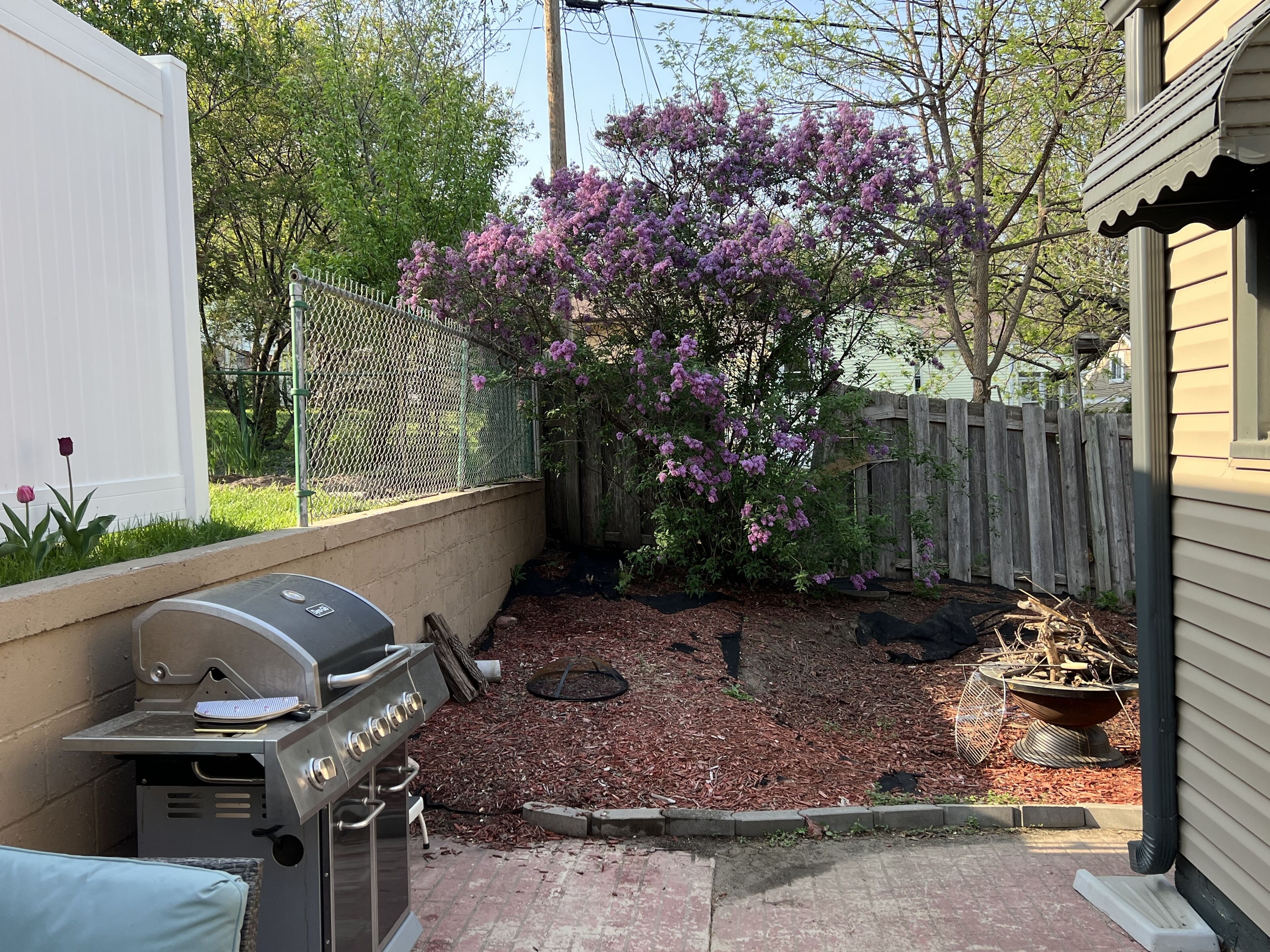 A backyard with a barbecue grill, a wooden fence, and a tree with purple flowers.