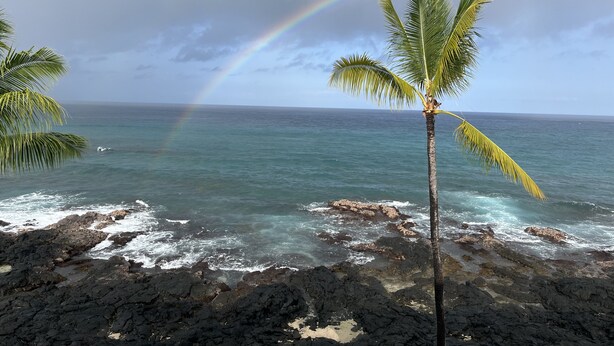 Ein Strand mit einer Palme und einem Regenbogen über dem Meer.