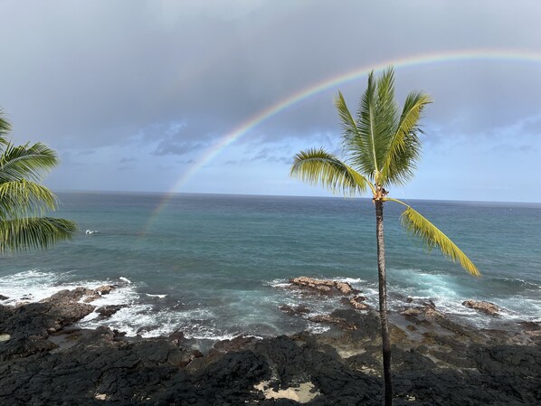 Beach nearby - D35 Kona Reef - True Oceanfront & Top Floor! AC throughout! (Kailua-Kona)