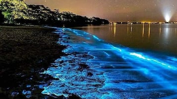 Una playa de noche bajo un cielo estrellado, con luz reflejada en el agua.