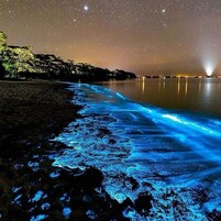 Una playa de noche bajo un cielo estrellado, con luz reflejada en el agua.