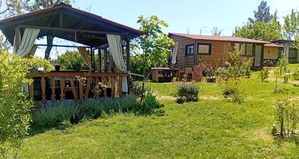 Charming 1-bedroom chalet in the mountains of Kiketi, near to Kiketi Farm.