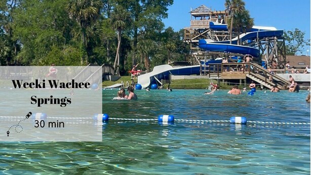 A water park with clear water, a water slide, and people swimming. - ☆New☆6min to 3 Sisters Springs☆Spacious, Fun with Game room (Crystal River)