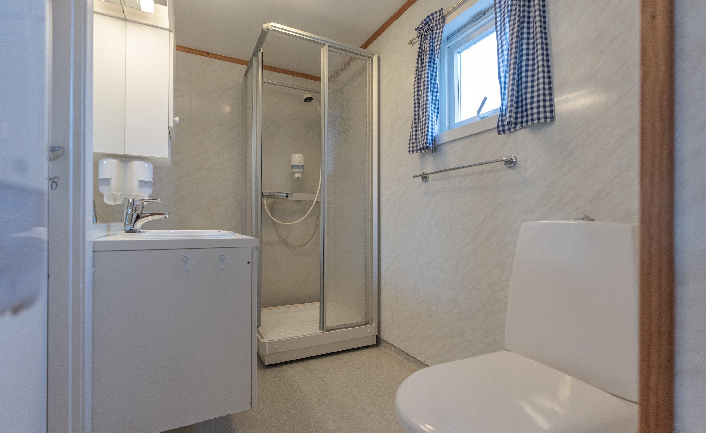 Une salle de bain avec douche, toilettes et lavabo.