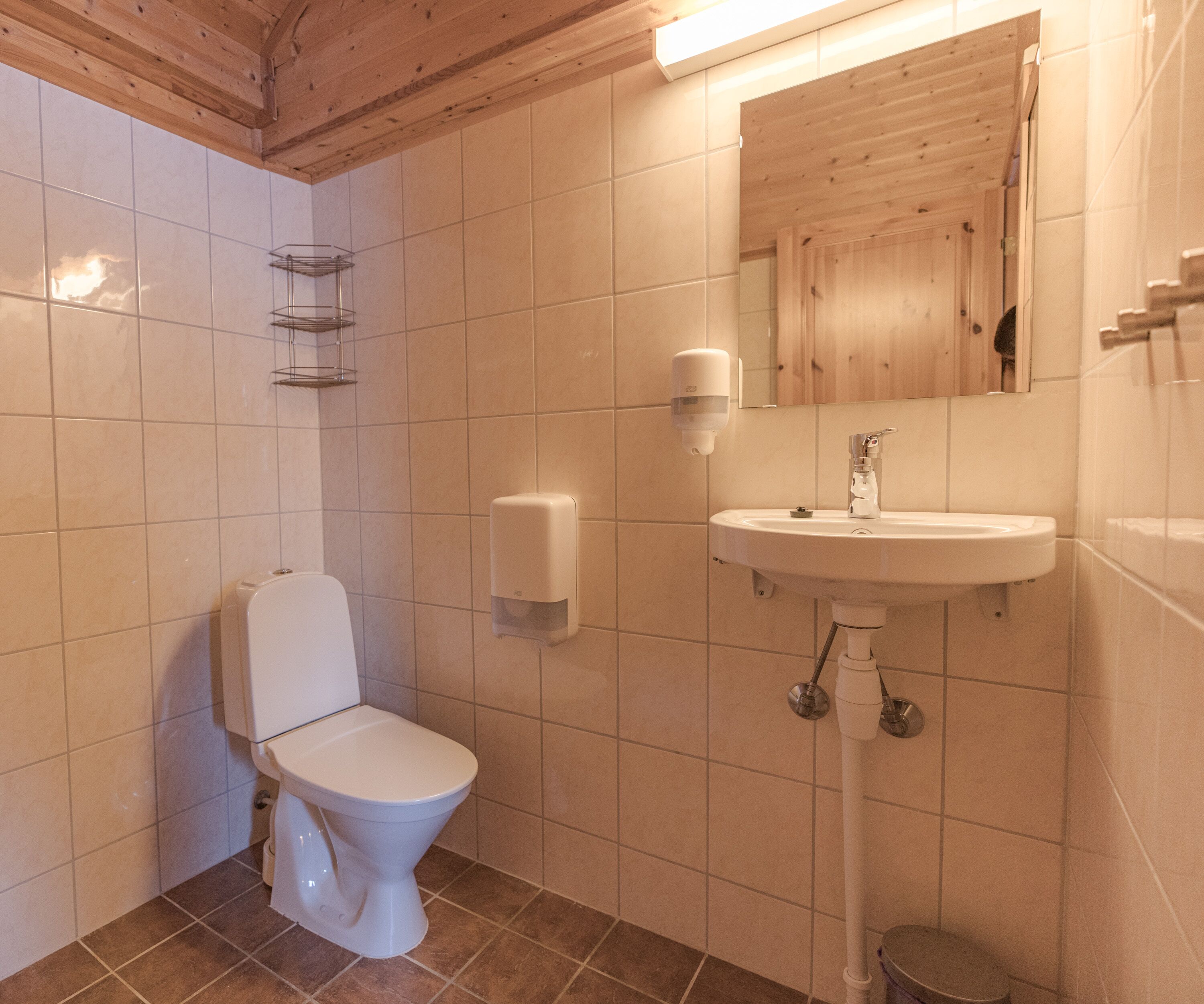 A bathroom with a toilet, a sink, and a mirror.