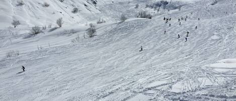 Snow and ski sports