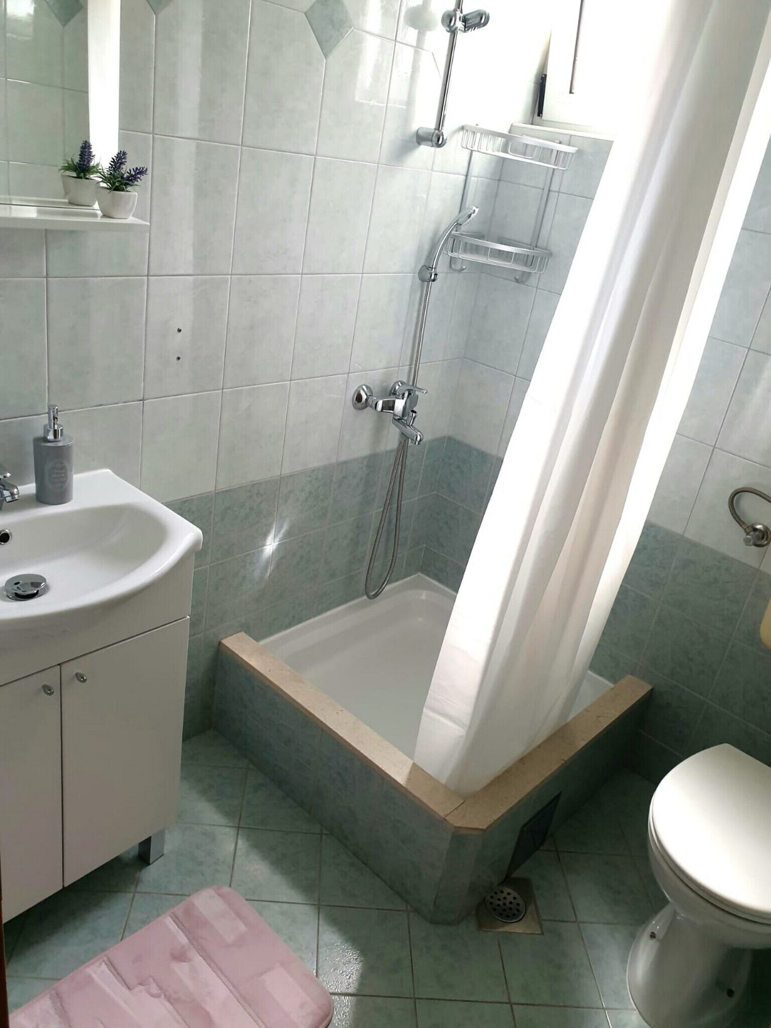 Un baño con ducha, lavamanos, inodoro y un pequeño estante con plantas.