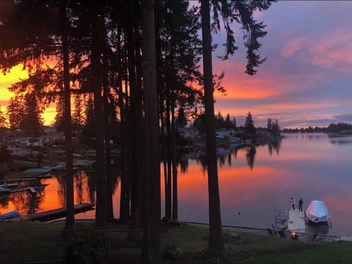 A serene lakeside scene with tall trees and a dock.