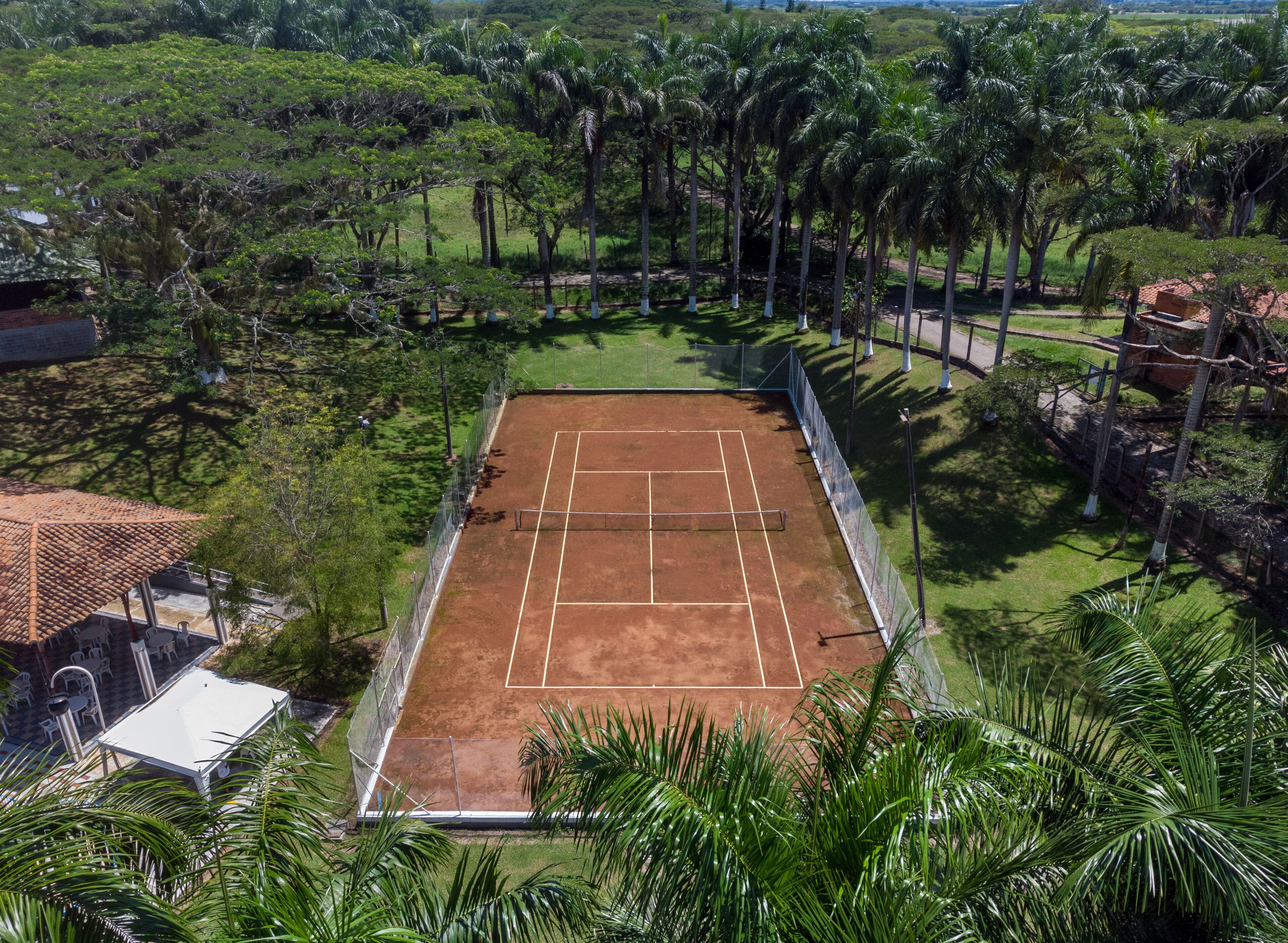 Cancha de tennis a l'aire lliure envoltada de vegetació abundant i palmeres.