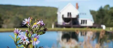 Àrea exterior de l'allotjament