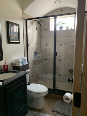 Combined shower/tub, hair dryer, soap, toilet paper - House in Medical Center, Backyard Oasis, close to everything! (San Antonio)