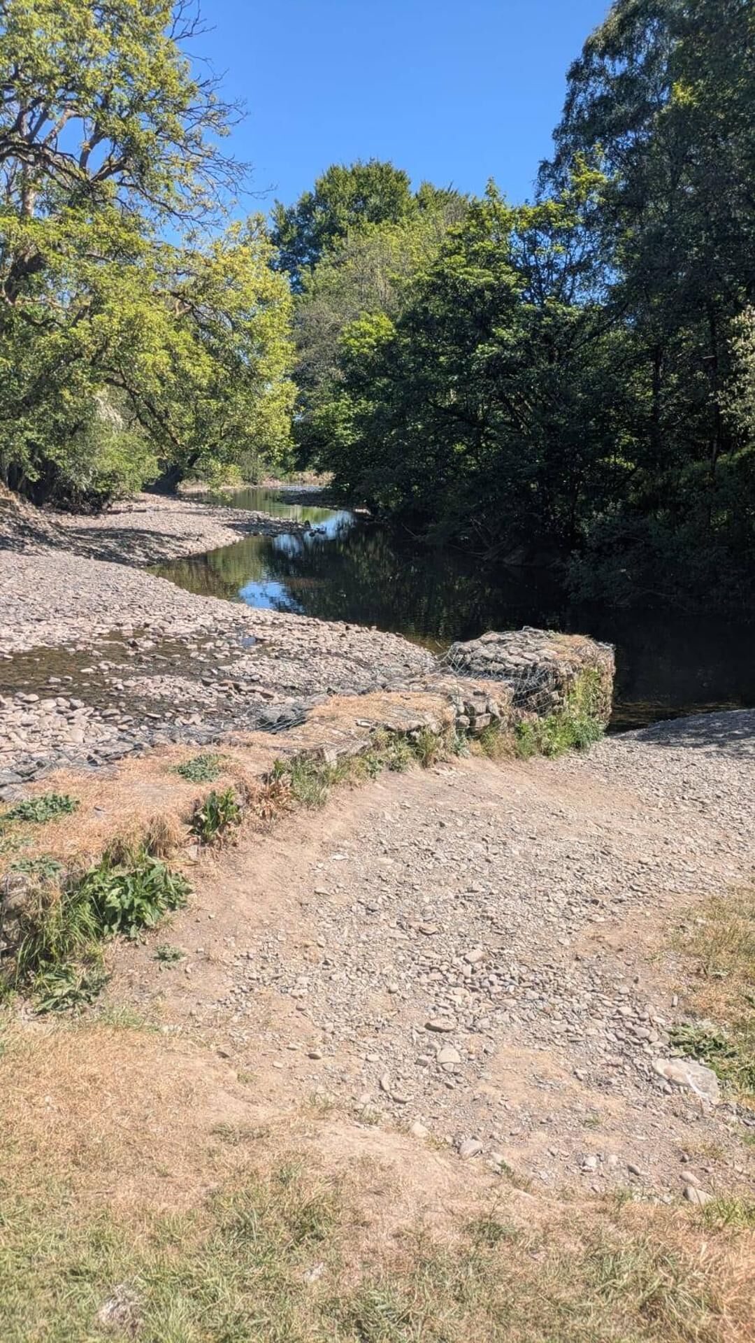 A natural landscape with a river, rocky terrain, and dense trees.