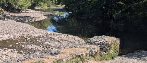 A natural landscape with a river, rocky terrain, and dense trees.