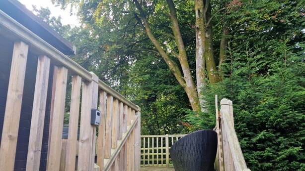 A wooden deck with a black woven basket, surrounded by dense green foliage and trees. - Glamping Hut - Sleeps 2, hot tub & Parking (Welshpool)