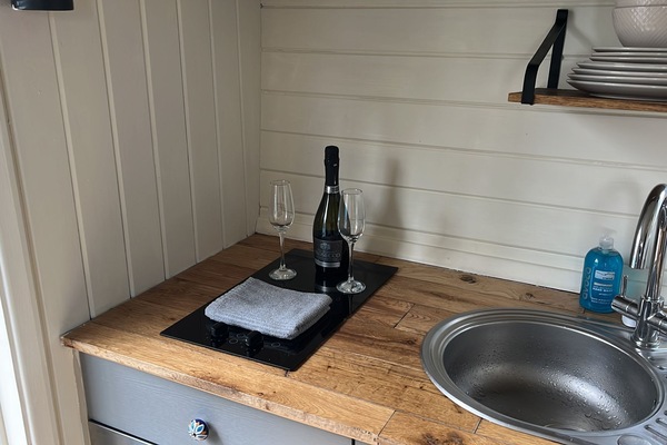 Cabin | Private kitchen | Fridge, microwave, stovetop, electric kettle