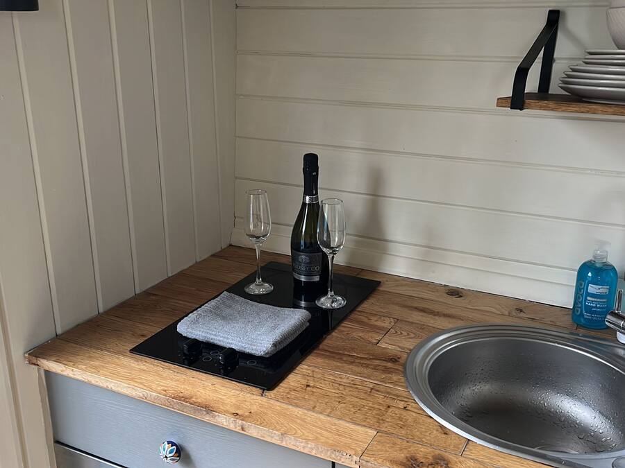Cabin | Private kitchen | Fridge, microwave, stovetop, electric kettle