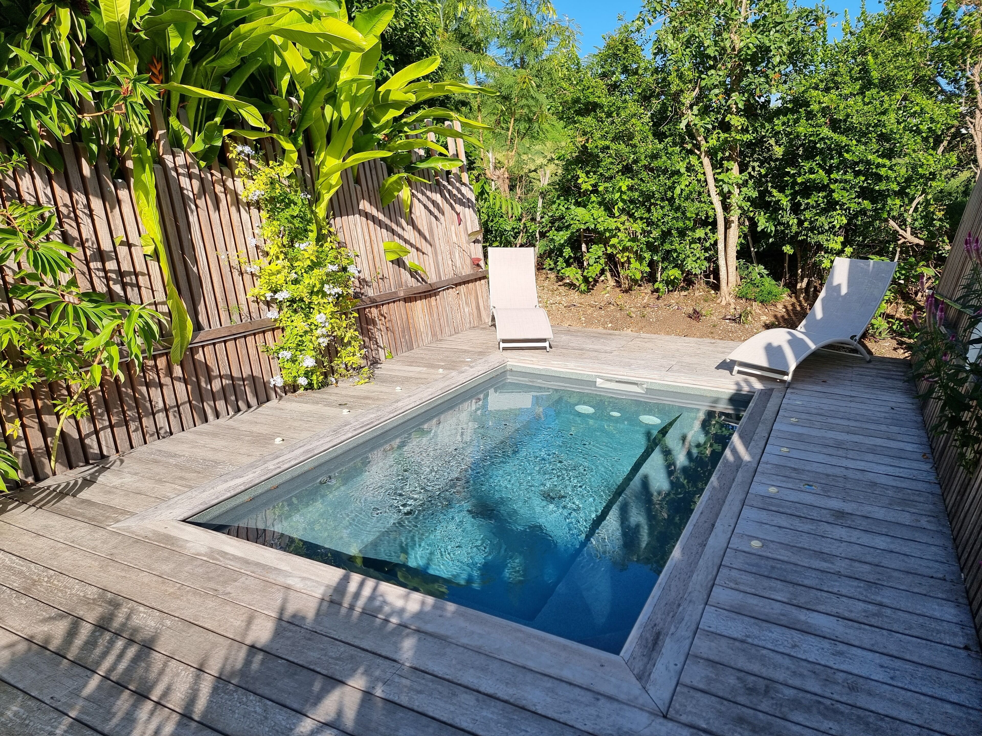 Una piscina rectangular con plataforma de madera, rodeada de exuberante vegetación y una cerca de madera.