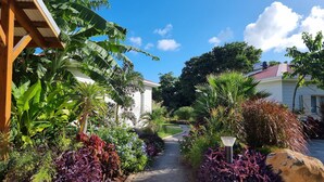 Un sendero conduce a una casa rodeada de exuberante follaje tropical y un cielo azul despejado.