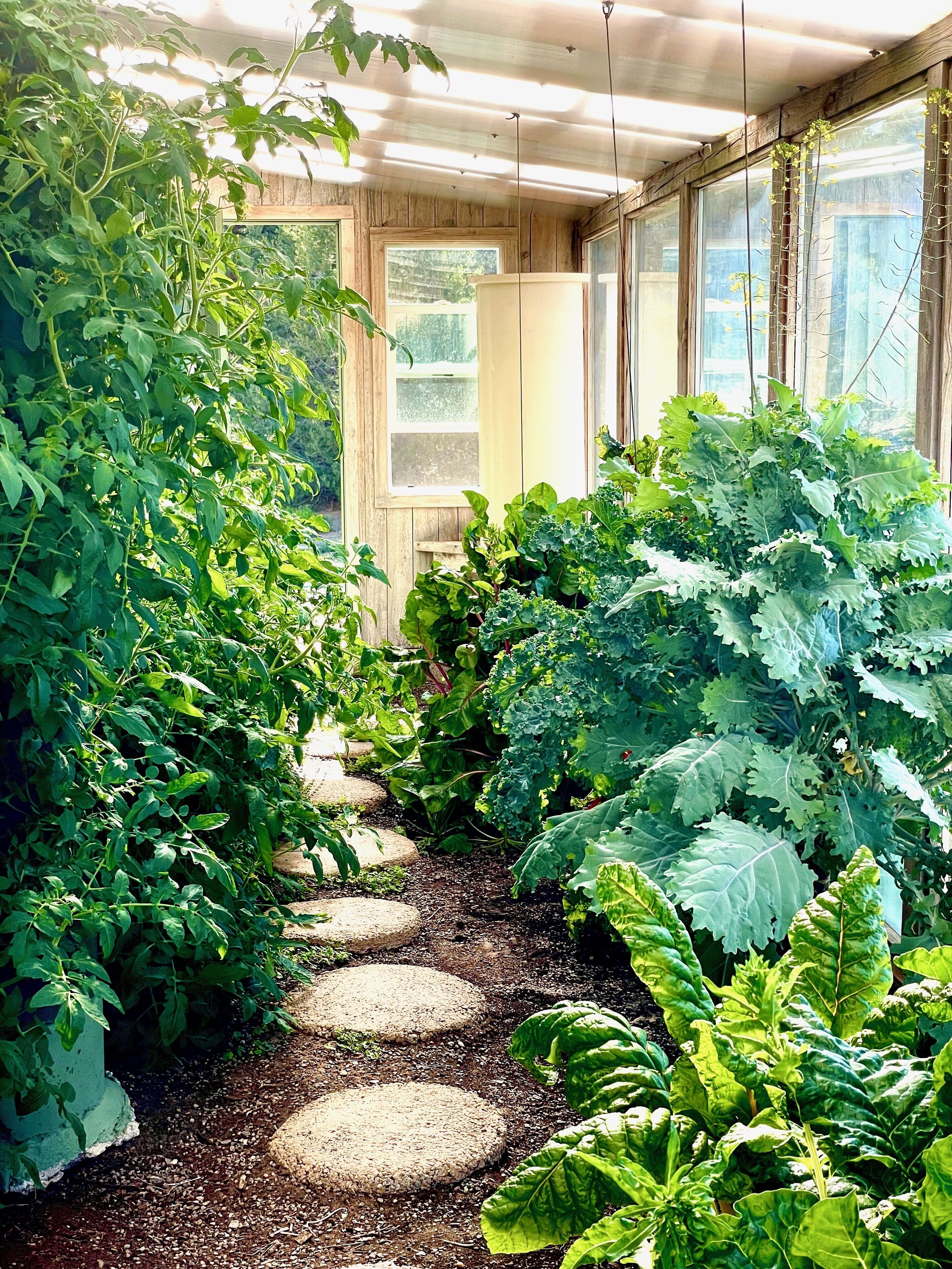 Proper greenhouse design allows for veggies nearly year round, at least to 0* F.