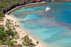 Una playa con agua turquesa cristalina, palmeras y acantilados rocosos.