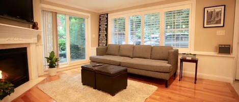 Smart TV, fireplace, computer monitors