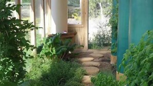 Caminho no jardim com pedras, rodeado por vegetação exuberante.
