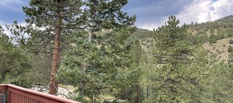 5BR Mountain Cabin !Treehouse Backs to Forest Near Rafting & Skiing