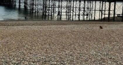 Stunning 3 bedroom & 2 bathroom cottage with patio