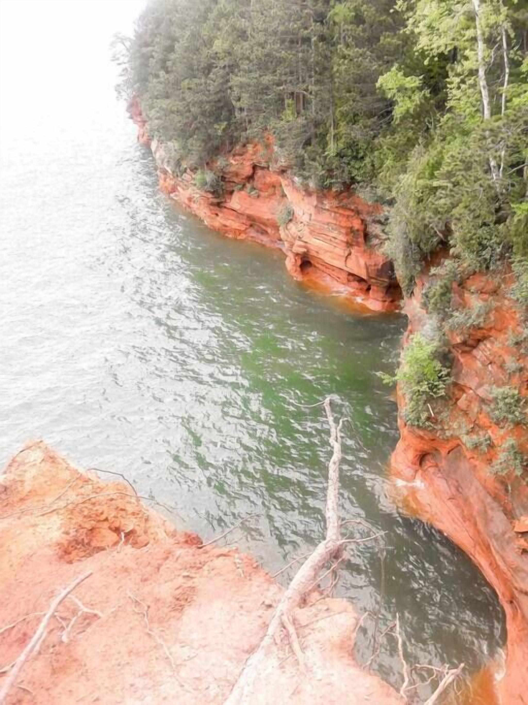 Un paysage côtier caractérisé par des falaises rouges et une végétation verdoyante.