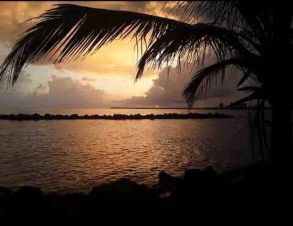 فنادق بتصنيف نجمة واحدة (1)