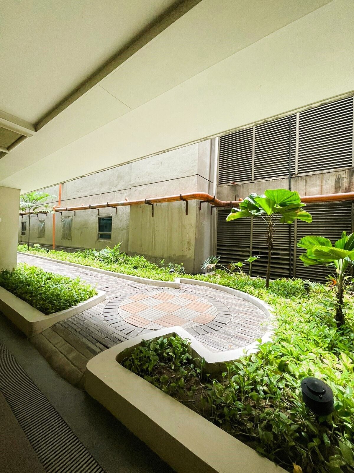 A courtyard with a paved walkway, greenery, and a building with a metal facade.