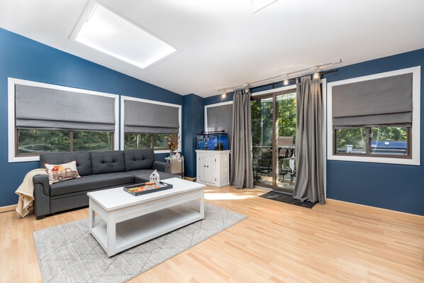 Smart TV, fireplace, DVD player, books