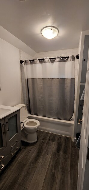 Combined shower/bathtub, towels, soap, shampoo - Minutes to Cedar Point, newly remodeled 4 bedrooms. (Sandusky)