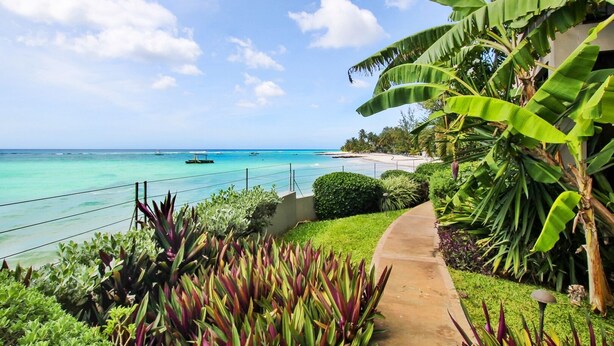 A tropical resort with a pathway leading to a beach, lush greenery, and a clear view of the ocean. - Beachfront Luxury with Incredible Ocean Views (Worthing)