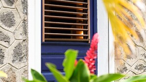 A window with horizontal blinds, a blue door, and a stone wall.