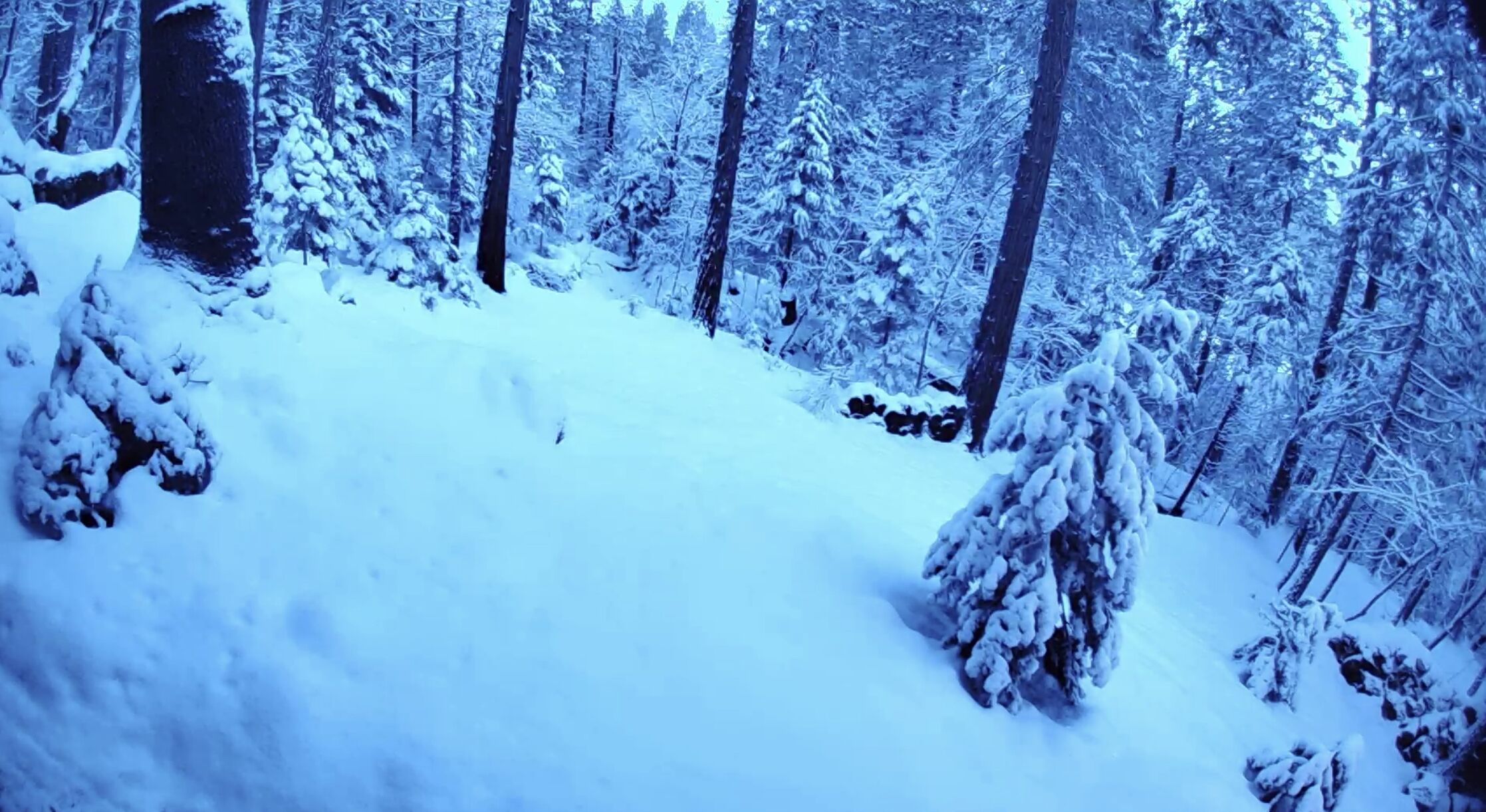 Snø- og skisport