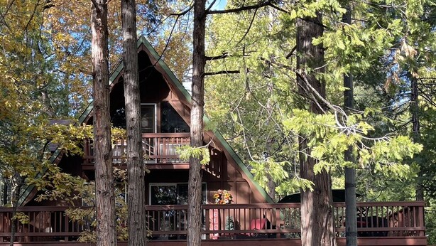 Une cabane dotée d’une terrasse en bois, entourée de grands arbres.