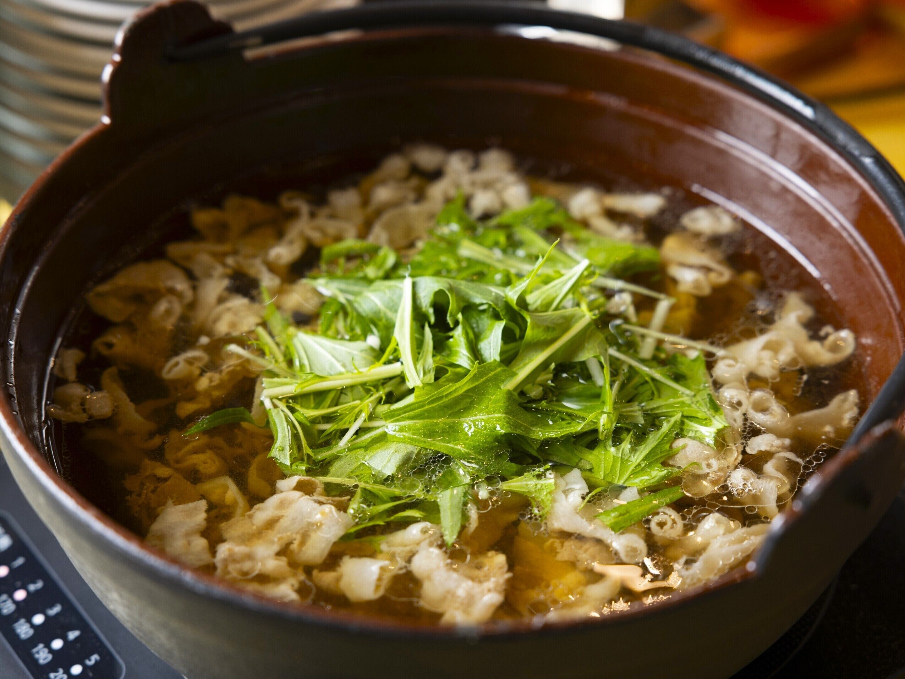 Un tazón de sopa con vegetales y fideos.