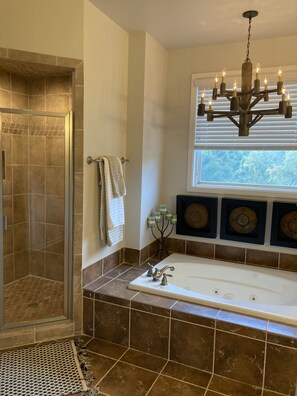Combined shower/tub, jetted tub, hair dryer, towels - Serene Luxury on a Quiet Cove (Titus)
