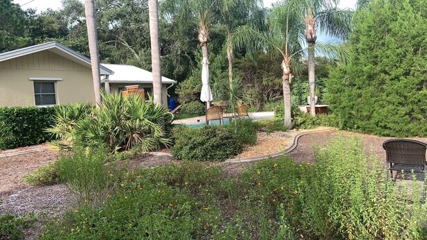 A residential property with a swimming pool, surrounded by lush greenery and palm trees.