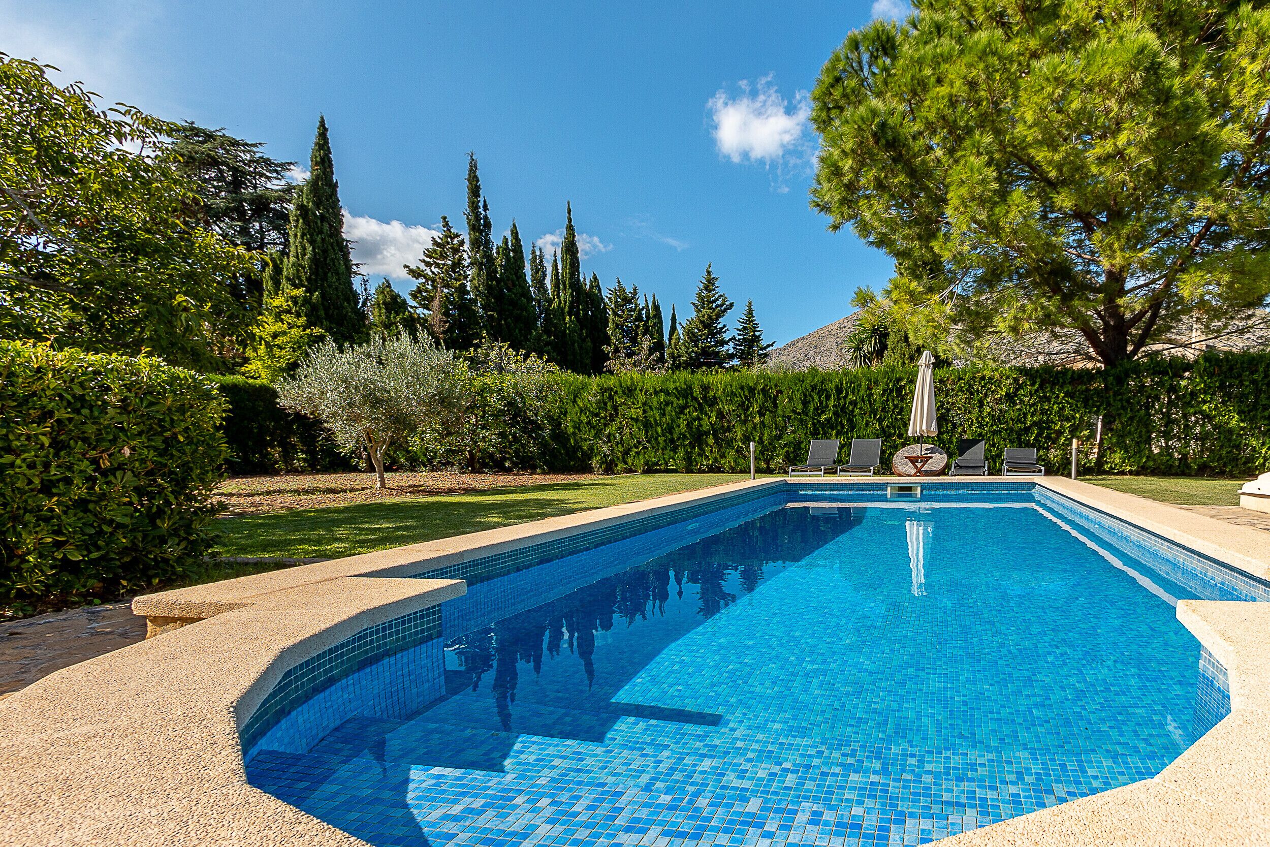 Une piscine rectangulaire aux carreaux bleus, entourée d’un jardin aménagé avec différents arbres et arbustes.