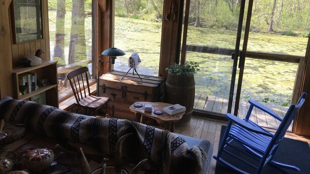 A cozy cabin interior with a wooden floor, a sofa, a chair, a table with books, a lamp, and a view of a forest through large windows. - Peacocks, blacksmithing, buffalo, wildlife, a studio cabin by the pond. (Unicoi)